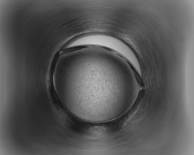 X0000088830536200706141522