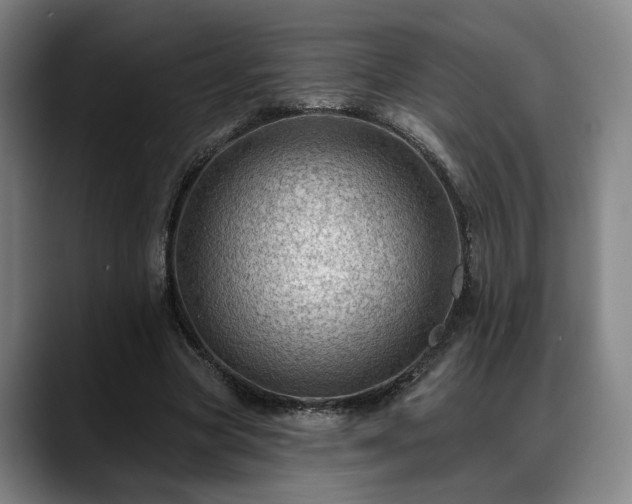 X0000088830537200706141522