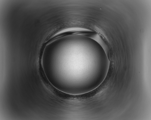 X0000088830538200706141522