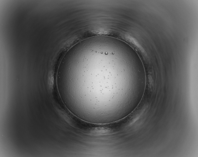 X0000088830541200706141522