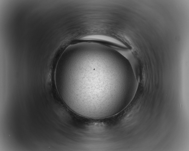 X0000088830543200706141522