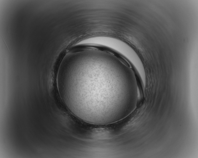 X0000088830544200706141522