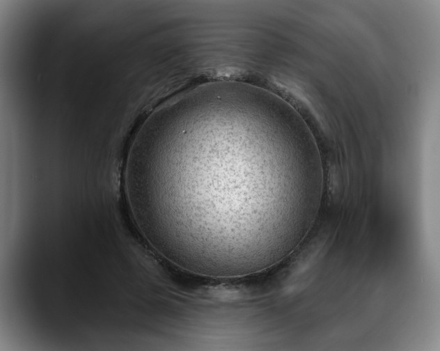 X0000088830545200706141522