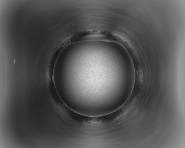 X0000088830546200706141522