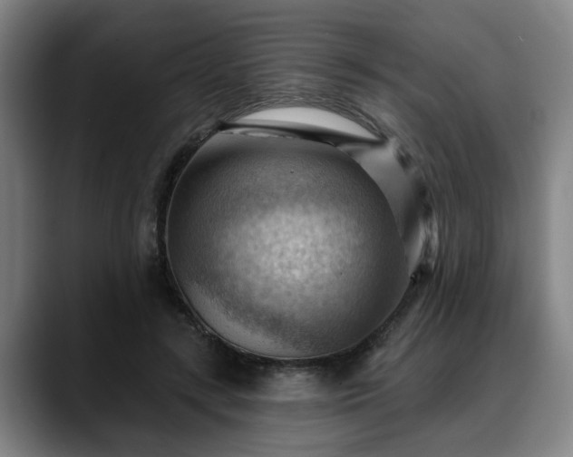 X0000088830547200706141522