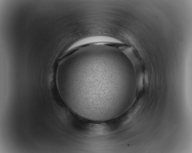 X0000088830548200706141522