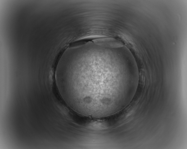 X0000088830550200706141522