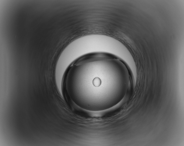 X0000088830552200706141522