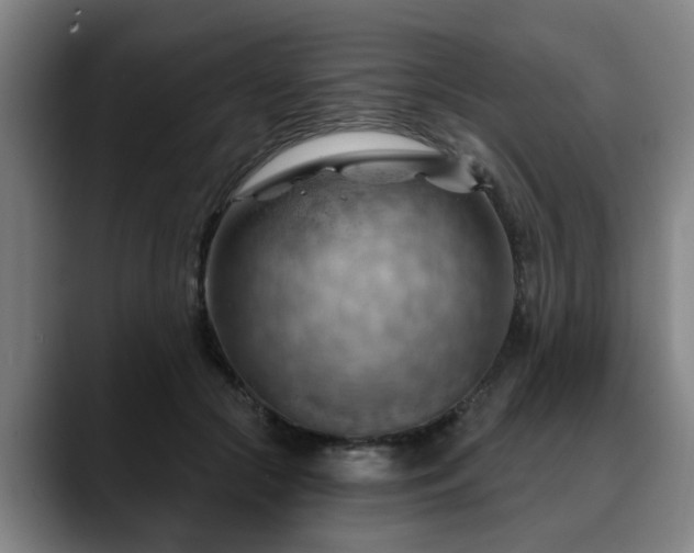 X0000088830553200706141522