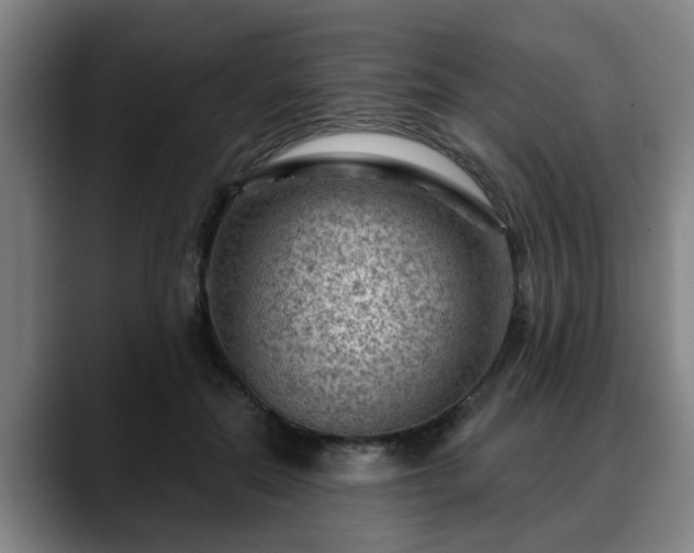 X0000088830554200706141522