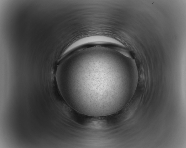 X0000088830555200706141522