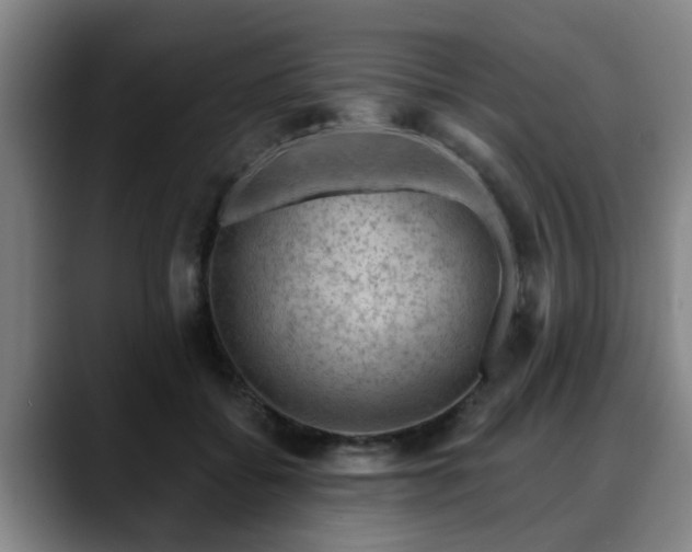 X0000088830556200706141522
