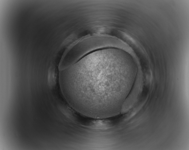 X0000088830558200706141522