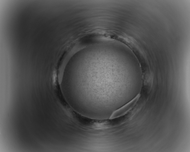 X0000088830560200706141522