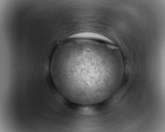 X0000088830561200706141522