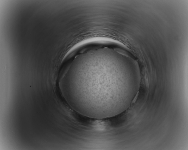 X0000088830562200706141522
