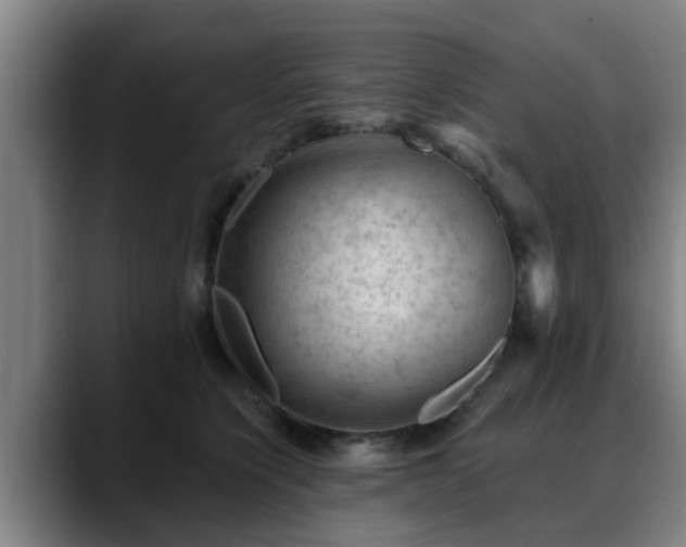 X0000088830564200706141522