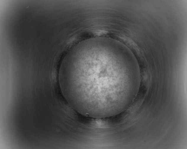 X0000088830565200706141522