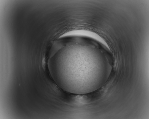 X0000088830566200706141522