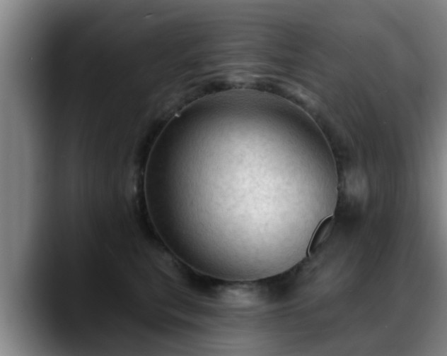 X0000088830567200706141522