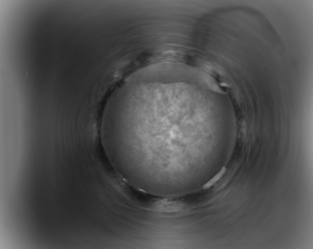 X0000088830568200706141522