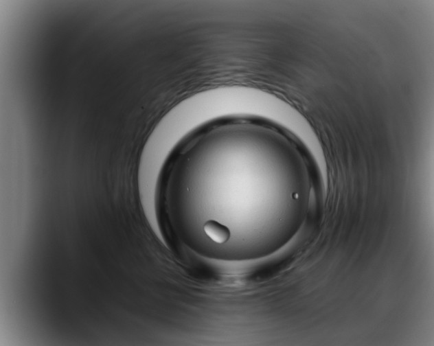 X0000088830570200706141522