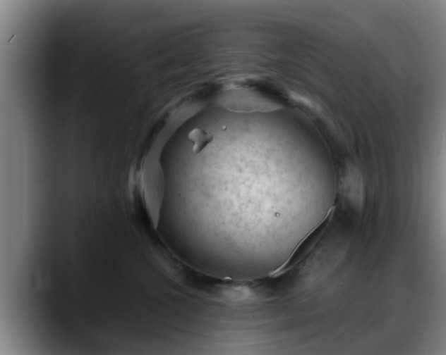 X0000088830572200706141522