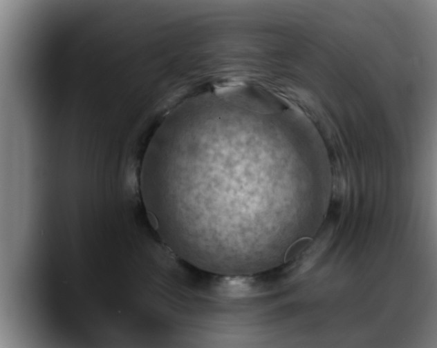 X0000088830573200706141522