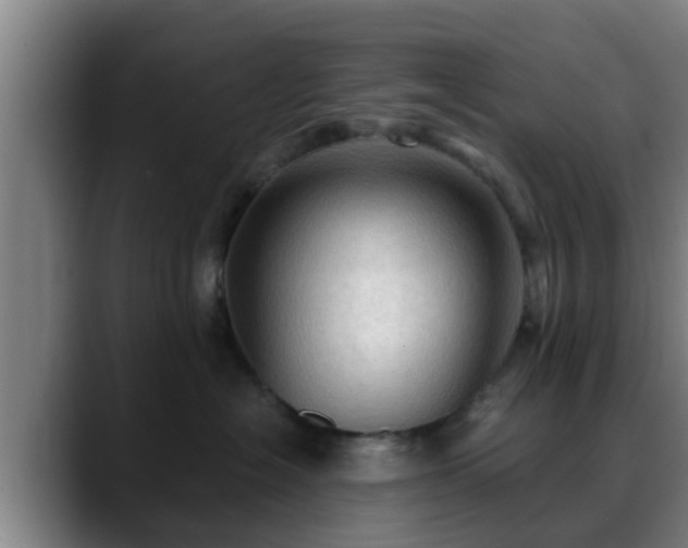 X0000088830574200706141522