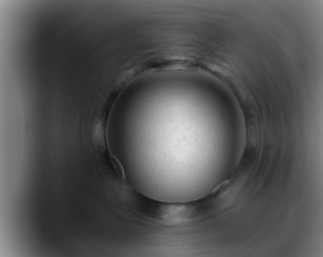 X0000088830575200706141522