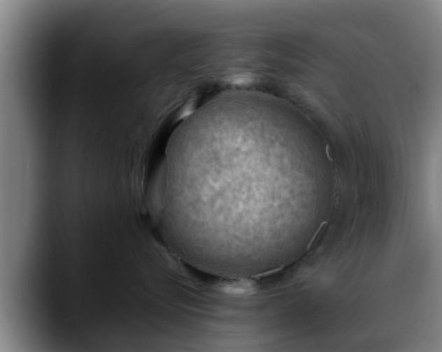 X0000088830576200706141522