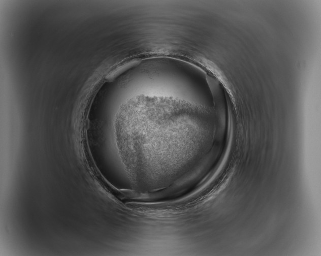 X0000088830577200706141522