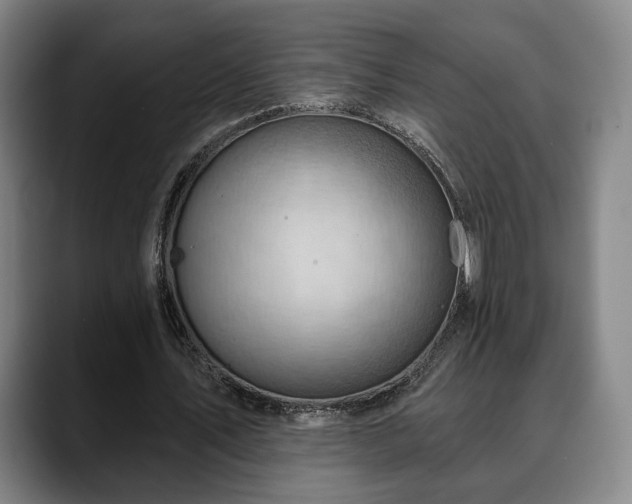 X0000088830579200706141522