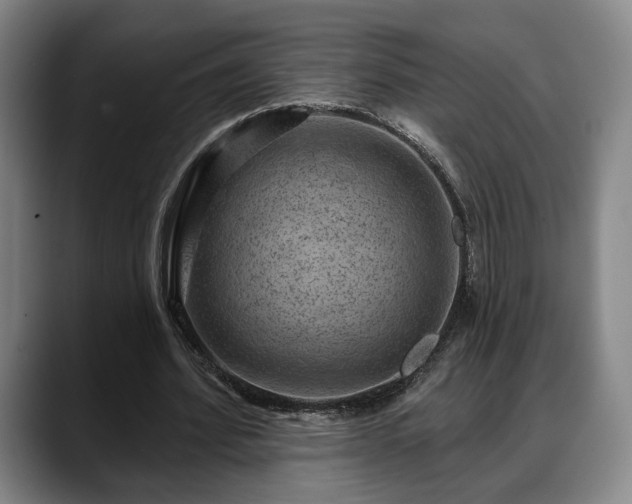 X0000088830580200706141522
