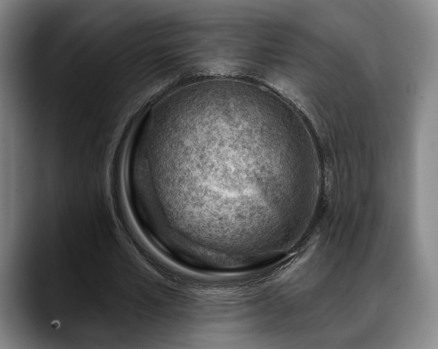 X0000088830581200706141522