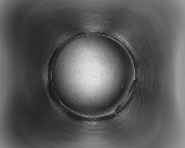 X0000088830582200706141522