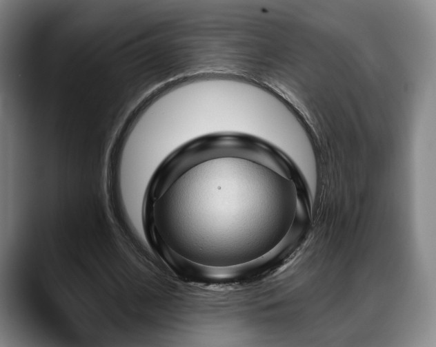 X0000088830584200706141522