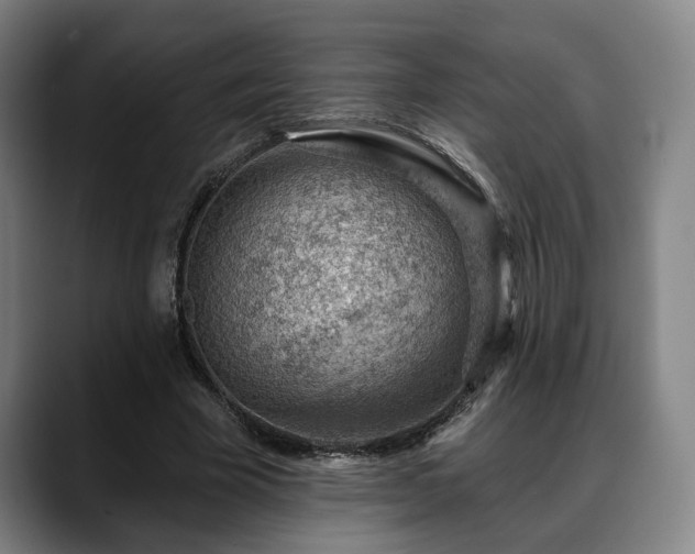 X0000088830585200706141522