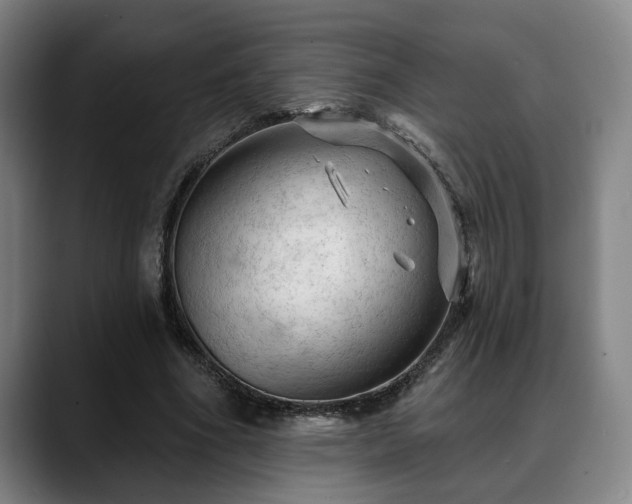 X0000088830586200706141522