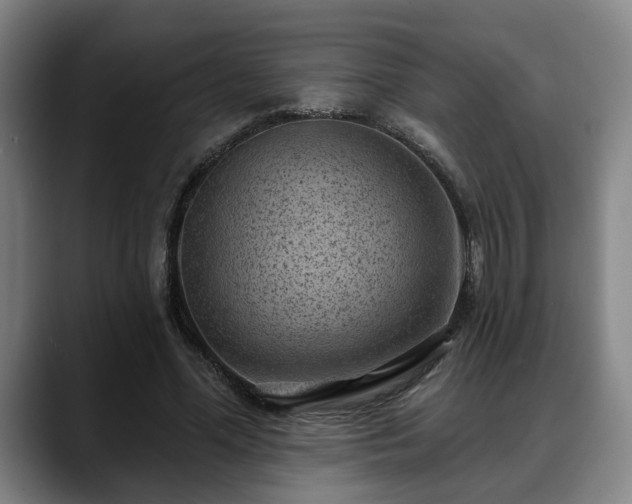 X0000088830588200706141522