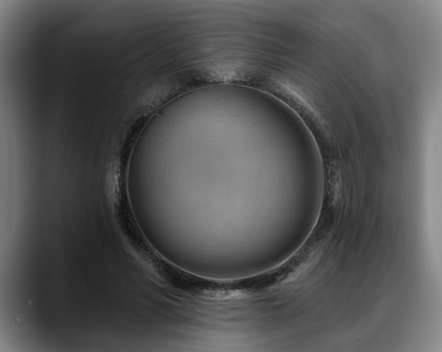 X0000088830590200706141522