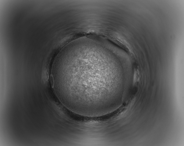 X0000088830593200706141522