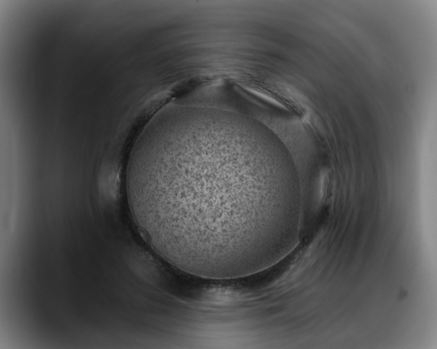 X0000088830596200706141522