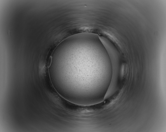 X0000088830597200706141522