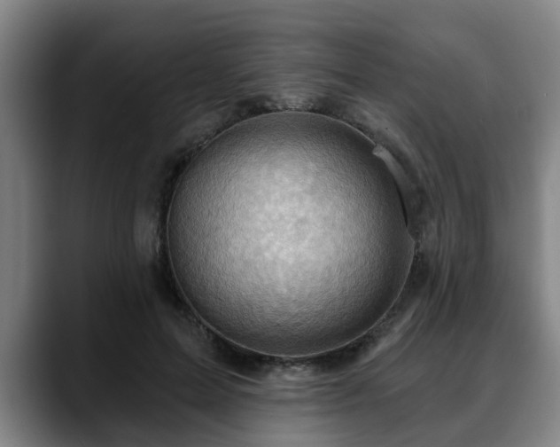 X0000088830599200706141522