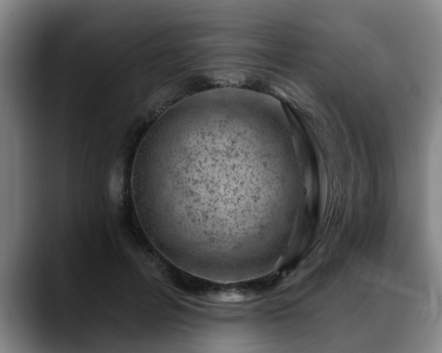 X0000088830600200706141522