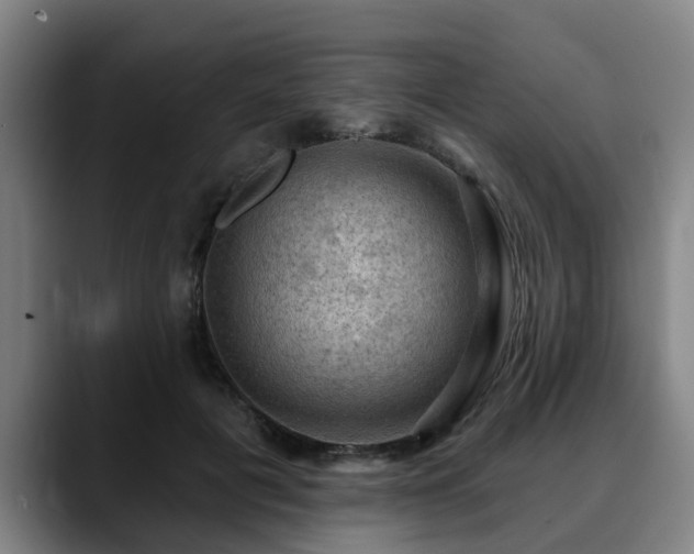 X0000088830601200706141522