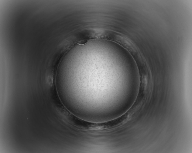 X0000088830602200706141522