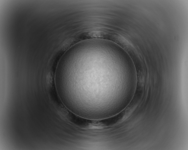 X0000088830603200706141522