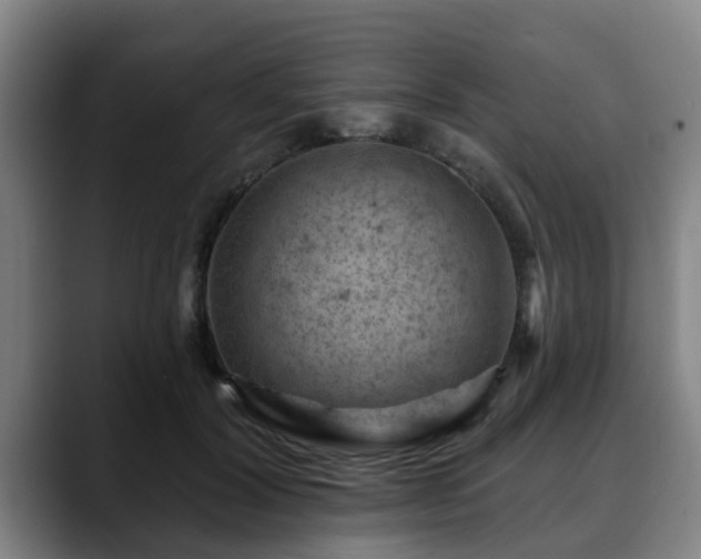 X0000088830604200706141522